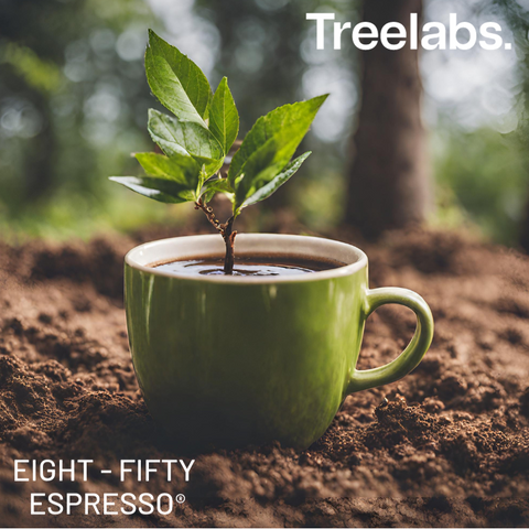 Cup of coffee with a tree plant on it